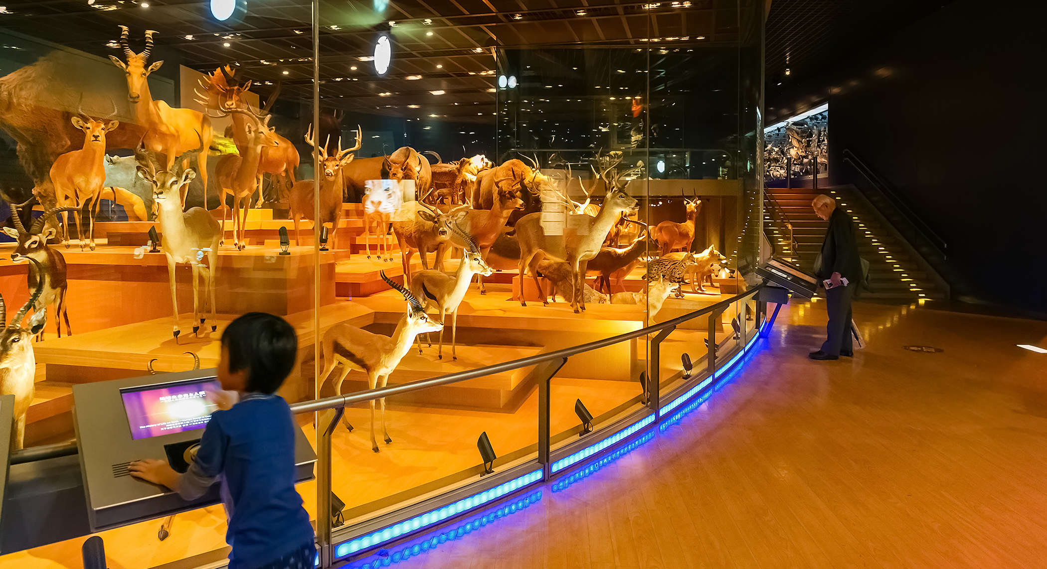 Lagotronics Projects Customized interactive experiences