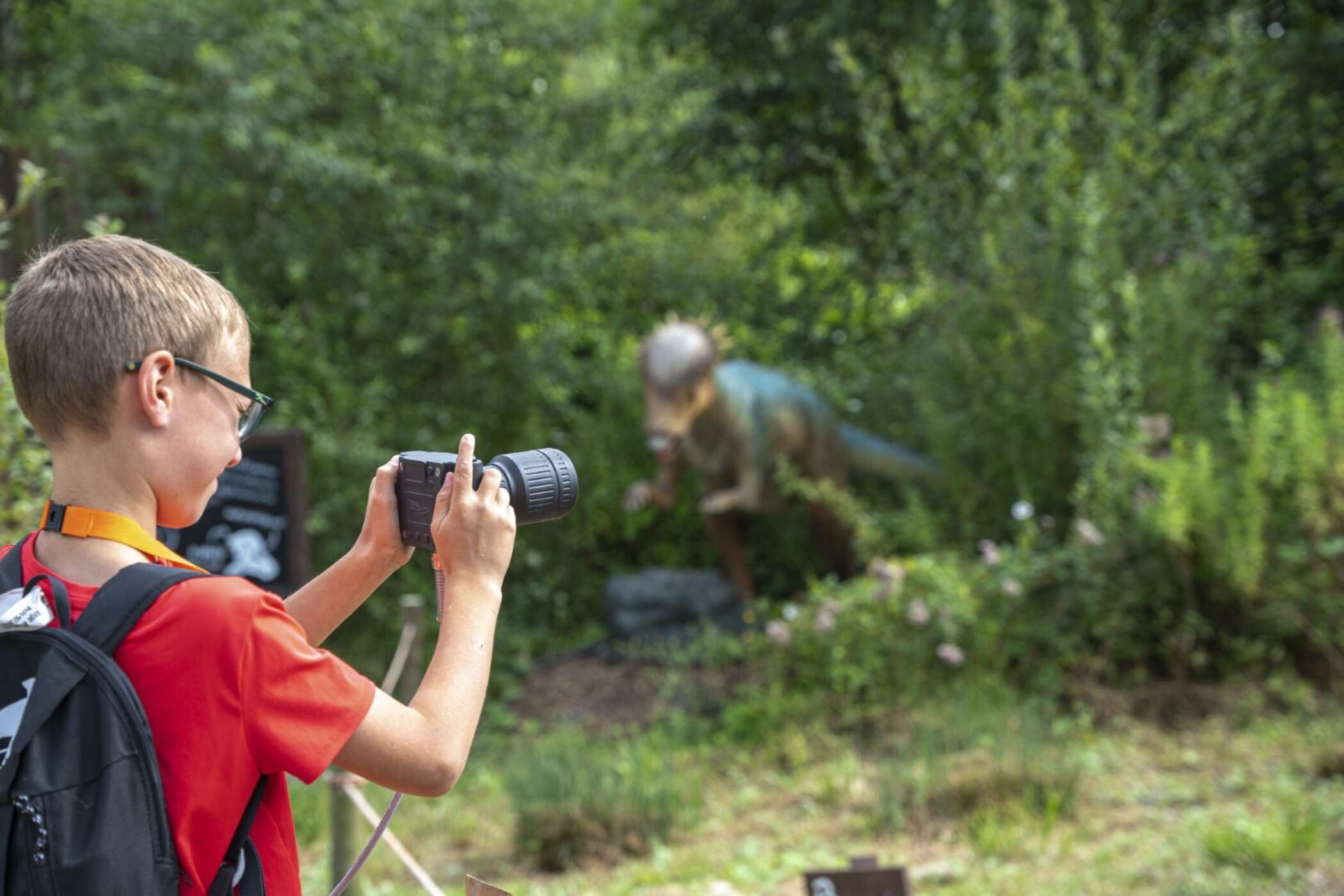 Dino Mission Social media 28 of 110